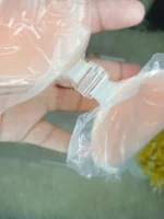 Close up of the transparent front closure clasp on the Xelxia silicone sticky bra.